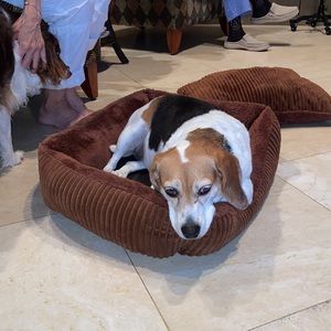 Brown super soft velvet dog or cat bed.